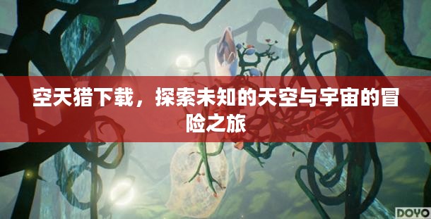 空天猎下载，探索未知的天空与宇宙的冒险之旅