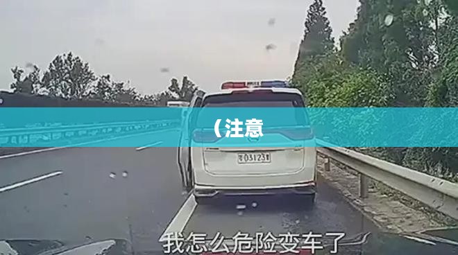 疯狂警车，速度与正义的交织