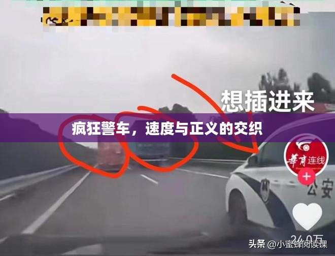 疯狂警车，速度与正义的交织
