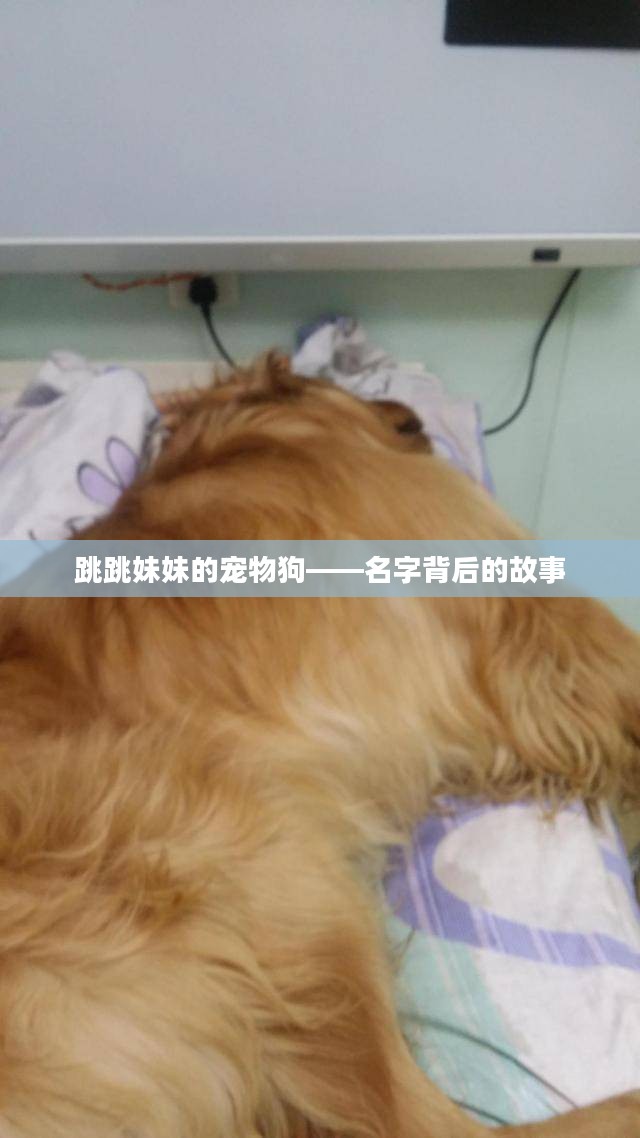 跳跳妹妹的宠物狗——名字背后的故事