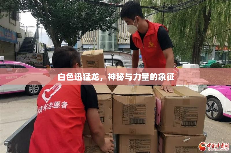 白色迅猛龙,神秘与力量的象征 白色迅猛龙,神秘与力量的象征