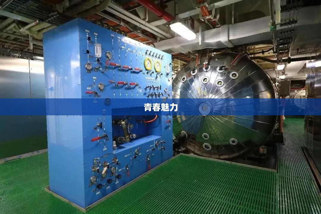 新少女之心，探索青春的魅力与力量