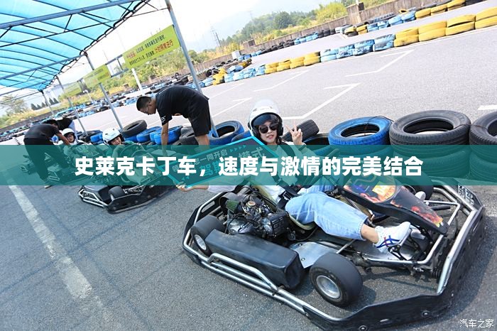 史莱克卡丁车,速度与激情的完美结合 史莱克卡丁车,速度与激情的完美结合