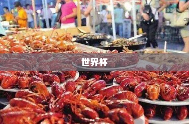 天天世界杯,激情与梦想的盛宴 天天世界杯,激情与梦想的盛宴