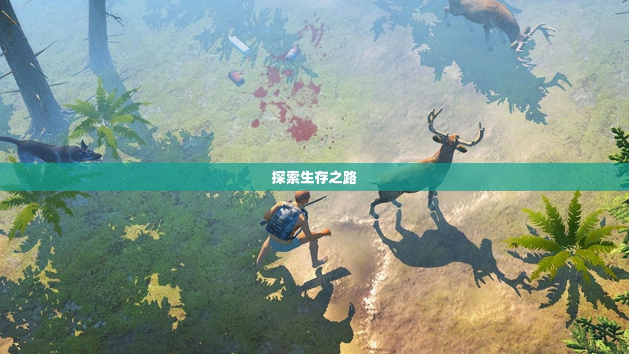 生命线攻略，探索生存之路的指引之光