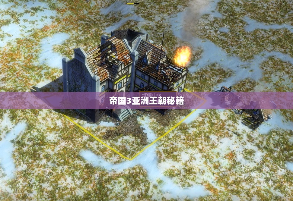 帝国3亚洲王朝秘籍，探索与揭秘