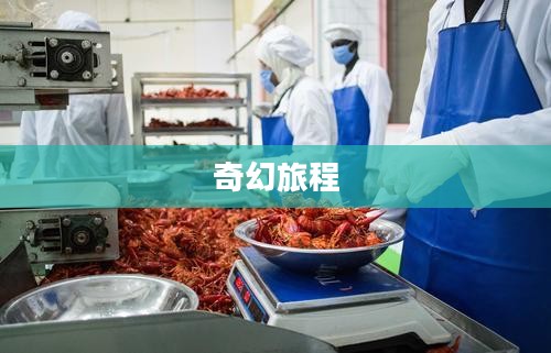 西游风云,一场史诗般的奇幻旅程 西游风云,一场史诗般的奇幻旅程