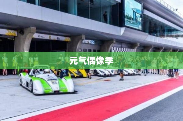 元气偶像季攻略,解锁你的追星之旅 元气偶像季攻略,解锁你的追星之旅