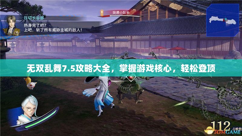 无双乱舞7.5攻略大全，掌握游戏核心，轻松登顶