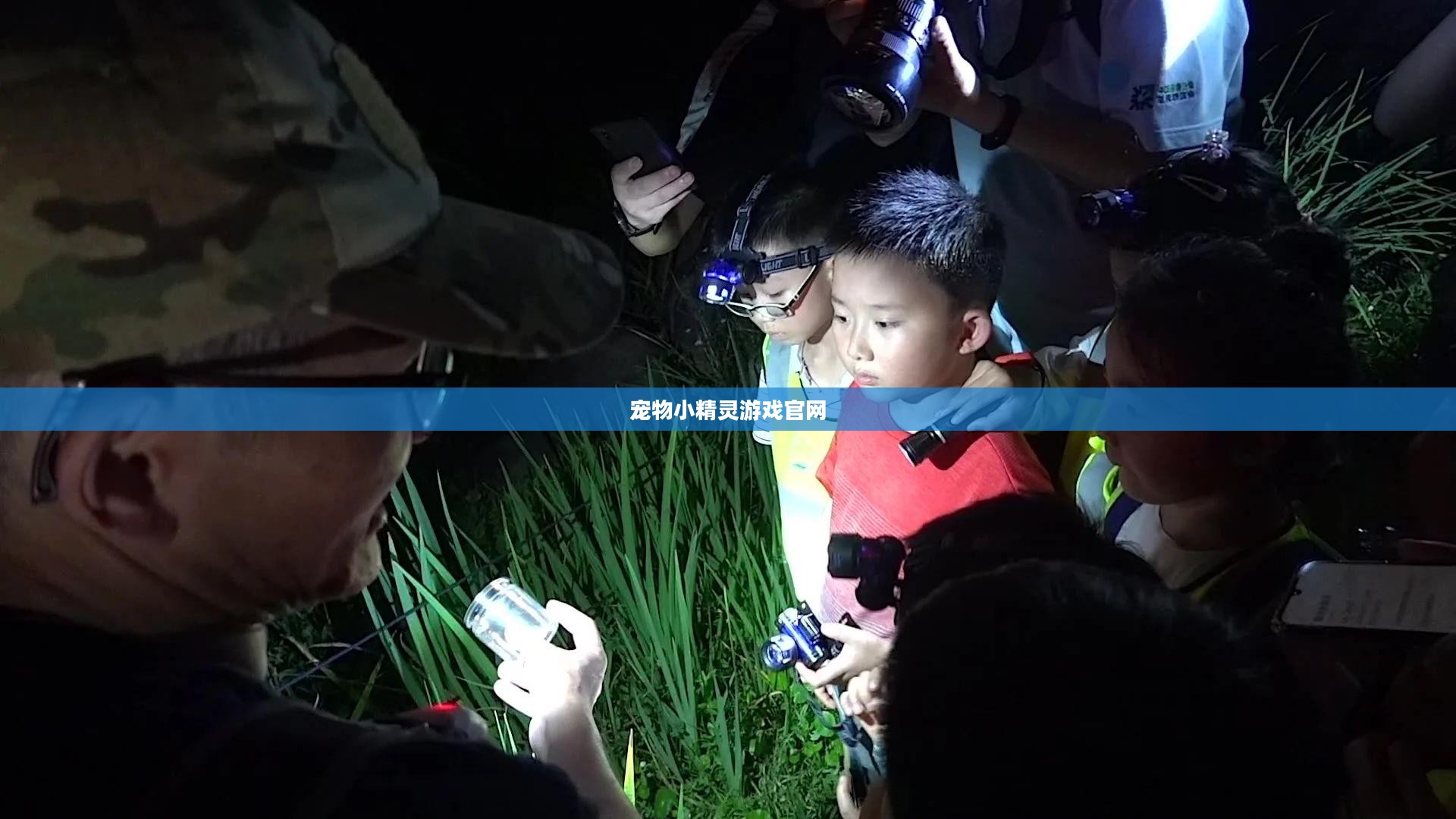 宠物小精灵游戏官网，探索神奇世界的起点