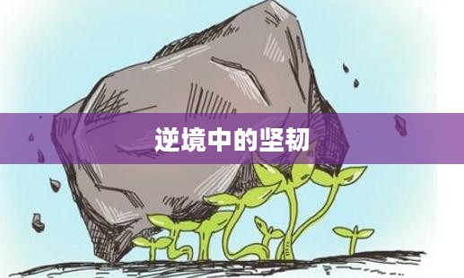 挫败双子，逆境中的坚韧与成长