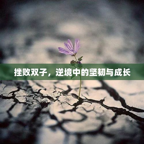 挫败双子,逆境中的坚韧与成长 挫败双子,逆境中的坚韧与成长