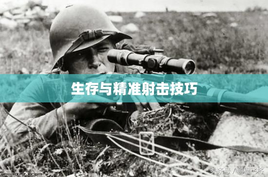 二战狙击手攻略，掌握生存与精准射击的技巧