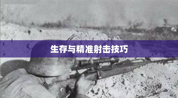 二战狙击手攻略,掌握生存与精准射击的技巧 二战狙击手攻略,掌握生存与精准射击的技巧