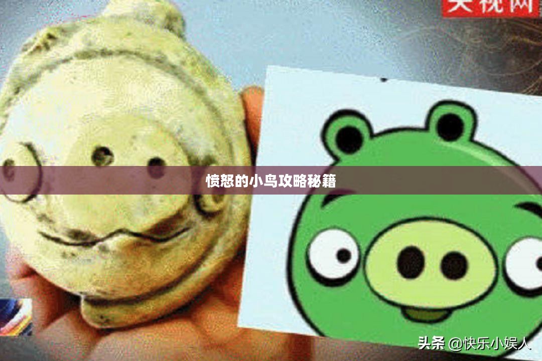 愤怒的小鸟攻略秘籍，掌握技巧，轻松战胜敌人