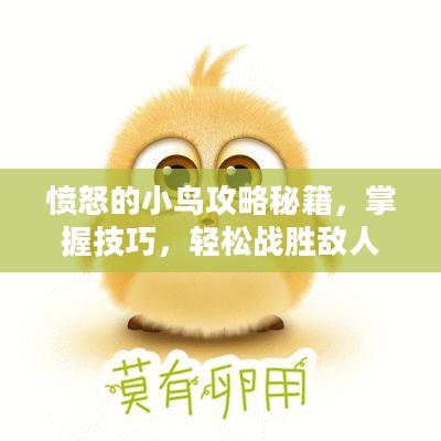 愤怒的小鸟攻略秘籍，掌握技巧，轻松战胜敌人
