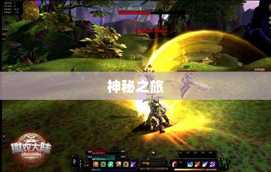 撒农大陆的神秘之旅