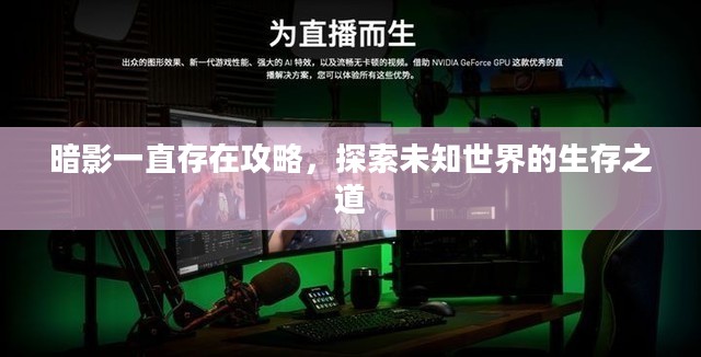 暗影一直存在攻略，探索未知世界的生存之道
