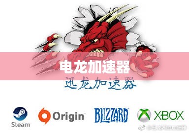电龙加速器，引领网络时代的极速先锋