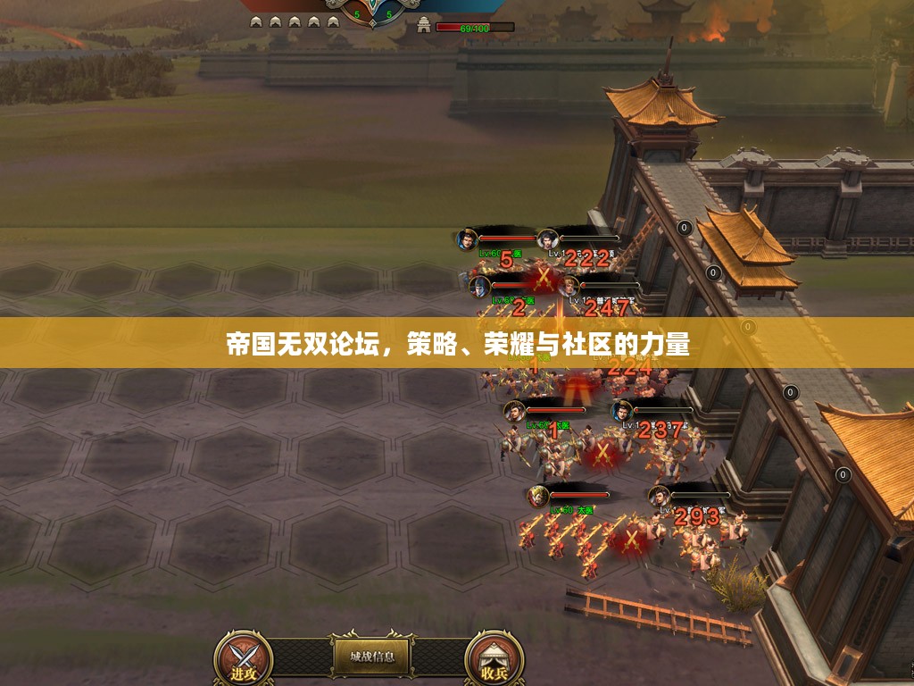 帝国无双论坛,策略、荣耀与社区的力量 帝国无双论坛,策略、荣耀与社区的力量