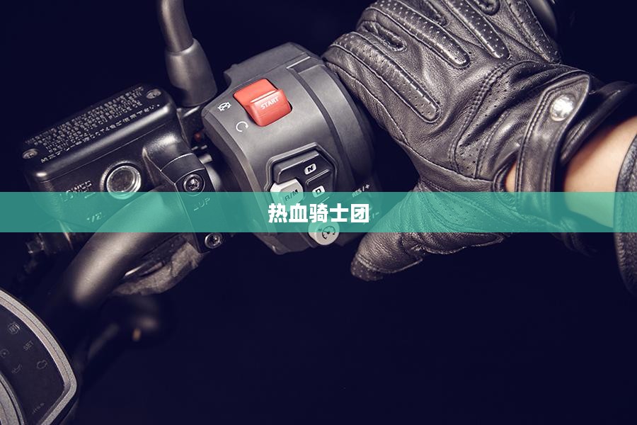 热血骑士团的荣耀与传奇