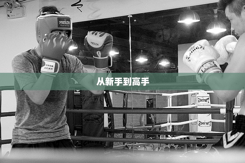 真实拳击攻略，从新手到高手的全面指南