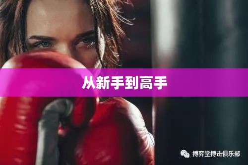 真实拳击攻略，从新手到高手的全面指南
