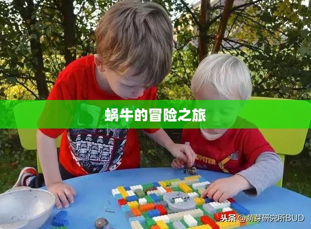 蜗牛的冒险之旅