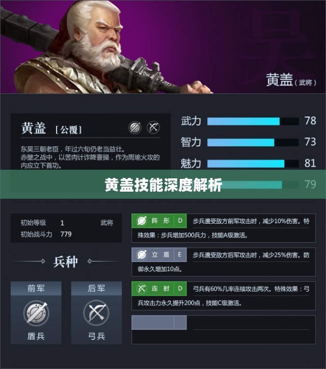 黄盖技能，深度解析与应用策略
