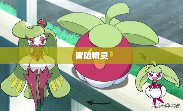冒险精灵,探索未知的奇幻之旅 冒险精灵,探索未知的奇幻之旅