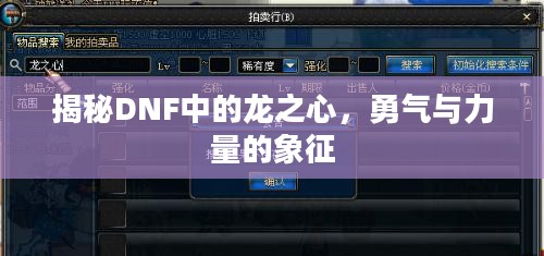 揭秘DNF中的龙之心，勇气与力量的象征