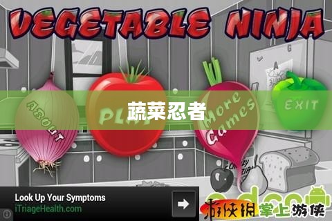 蔬菜忍者的奇妙世界 蔬菜忍者的奇妙世界