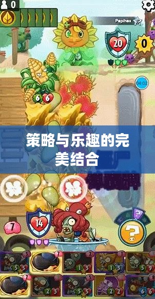 单机卡牌类游戏,策略与乐趣的完美结合 单机卡牌类游戏,策略与乐趣的完美结合