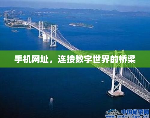 手机网址，连接数字世界的桥梁