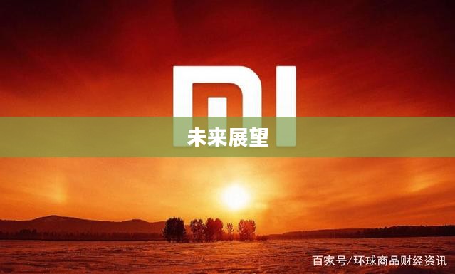 小米手机的崛起及未来展望