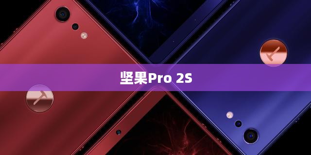 坚果Pro 2S，科技与美学的巅峰融合
