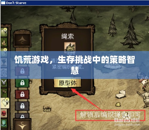 饥荒游戏，生存挑战中的策略智慧