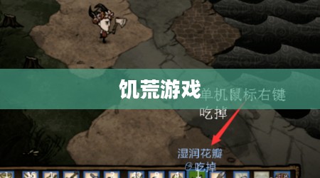 饥荒游戏,生存挑战中的策略智慧 饥荒游戏,生存挑战中的策略智慧
