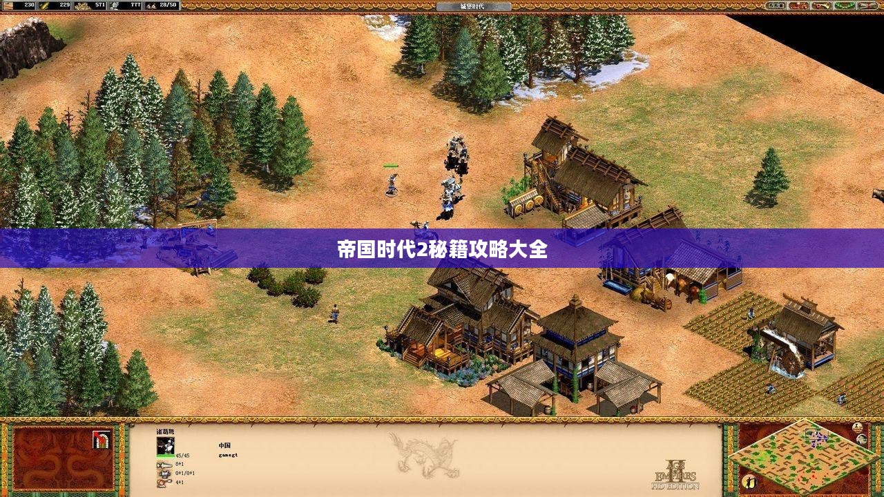 帝国时代2秘籍攻略大全