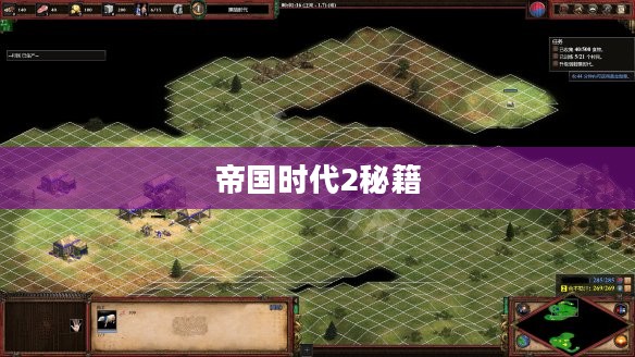帝国时代2秘籍攻略大全