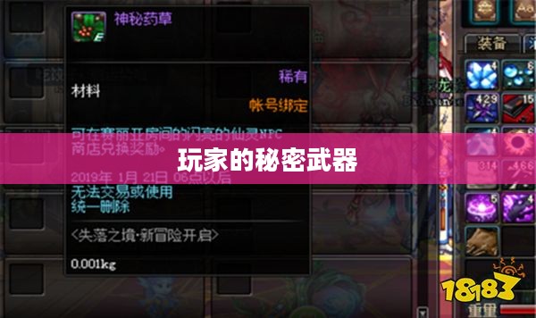 鬼泣3特别版作弊器，玩家的秘密武器揭秘