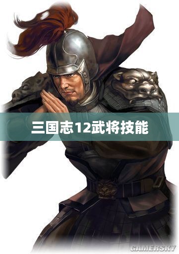 三国志12武将技能全面解析与探讨