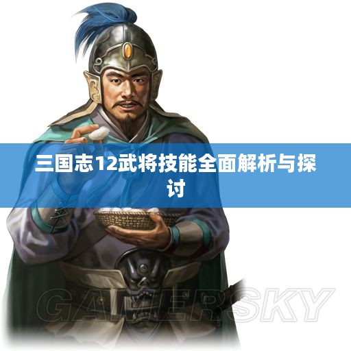 三国志12武将技能全面解析与探讨