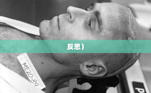 游戏变革与挑战，虐杀原型修改器的探索与反思