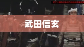 武田信玄，战国风云中的耀眼明星
