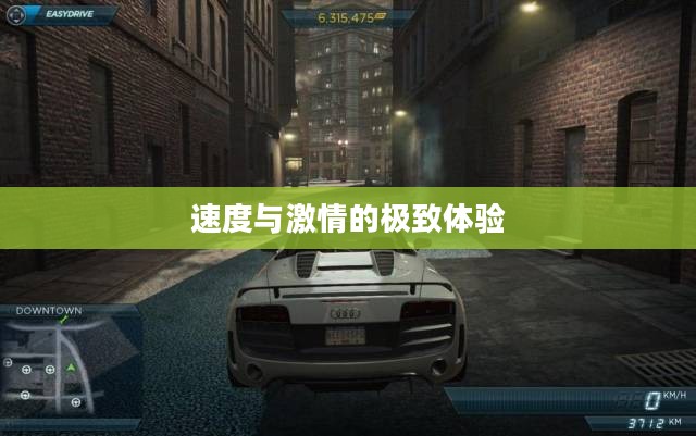 极品飞车游戏，速度与激情的极致体验