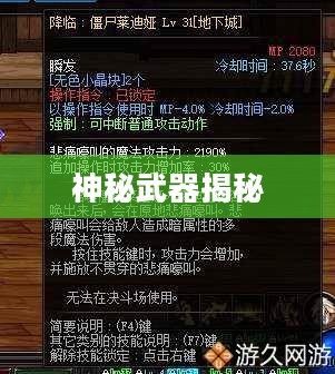 死灵术士的神秘武器揭秘