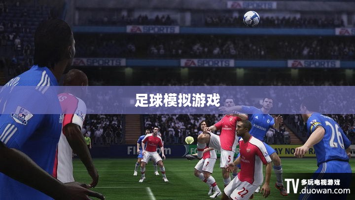 FIFA 11，足球模拟游戏的新里程碑成就非凡风采