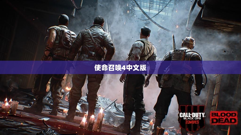 使命召唤4中文版,经典射击游戏的魅力本土化之旅 使命召唤4中文版,经典射击游戏的魅力本土化之旅