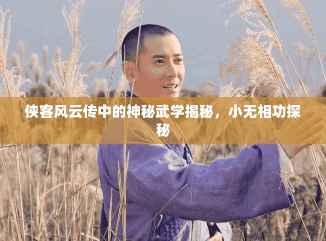 侠客风云传中的神秘武学揭秘，小无相功探秘